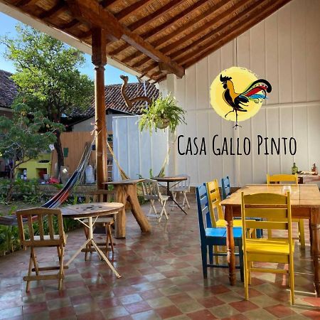 Casa Gallo Pinto Granada Luaran gambar
