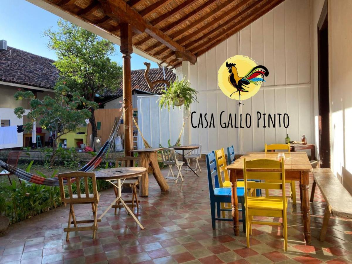 Casa Gallo Pinto Granada Luaran gambar