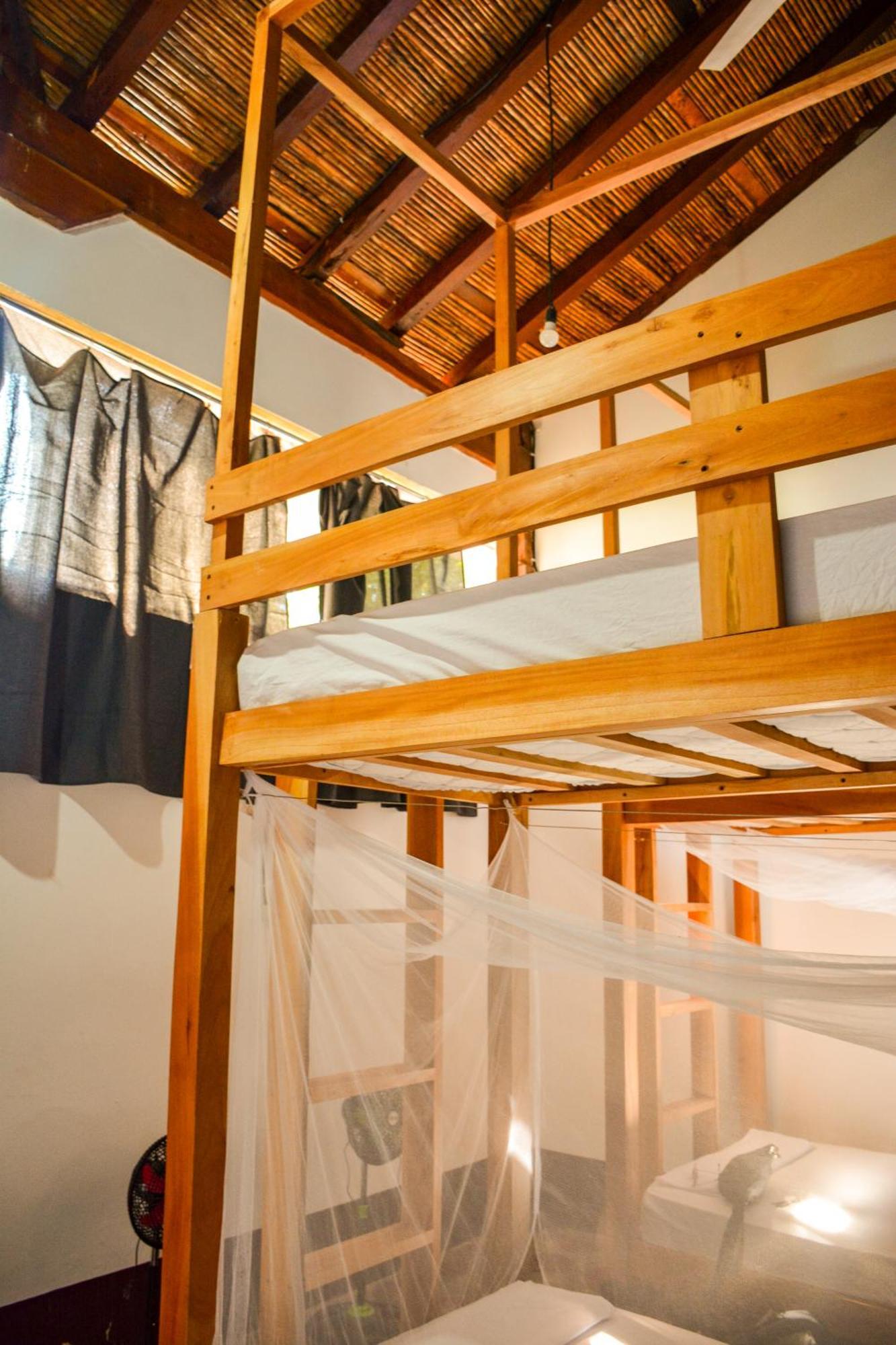 Casa Gallo Pinto Granada Luaran gambar